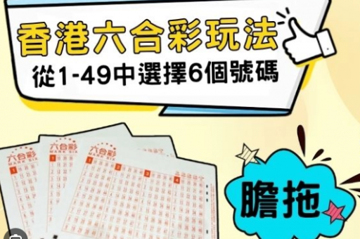 香港内部资料和公开资料：香港内部资料与公开资料对比